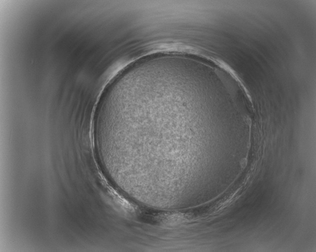 X0000060550791200511101536