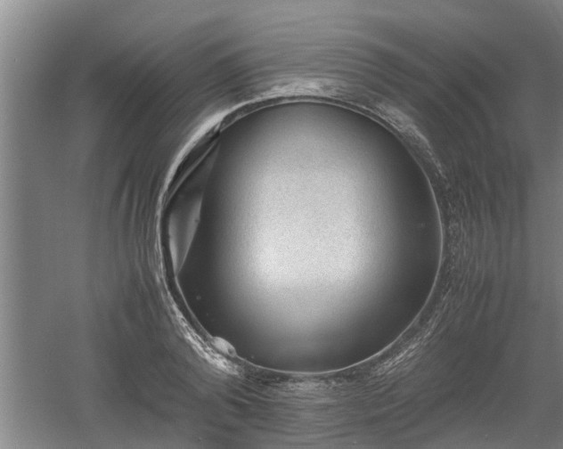 X0000060550792200511101536