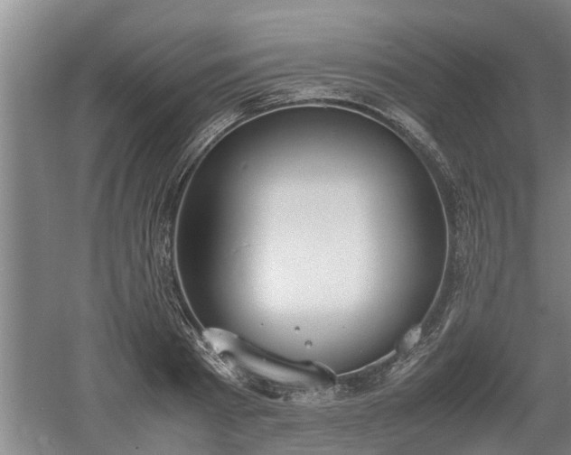 X0000060550793200511101536