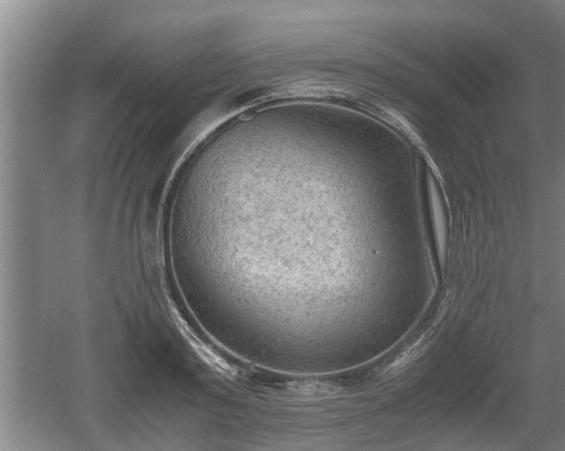 X0000060550795200511101536