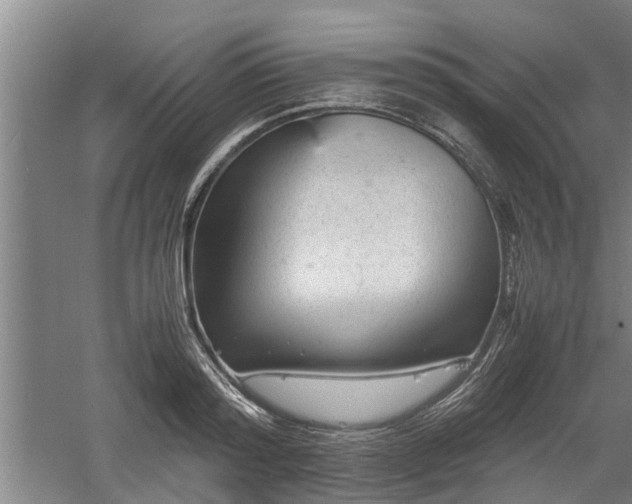 X0000060550796200511101536