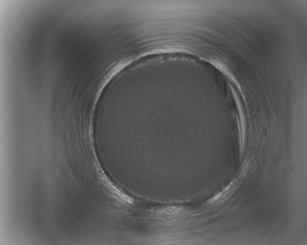 X0000060550797200511101536