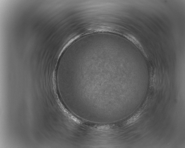 X0000060550798200511101536