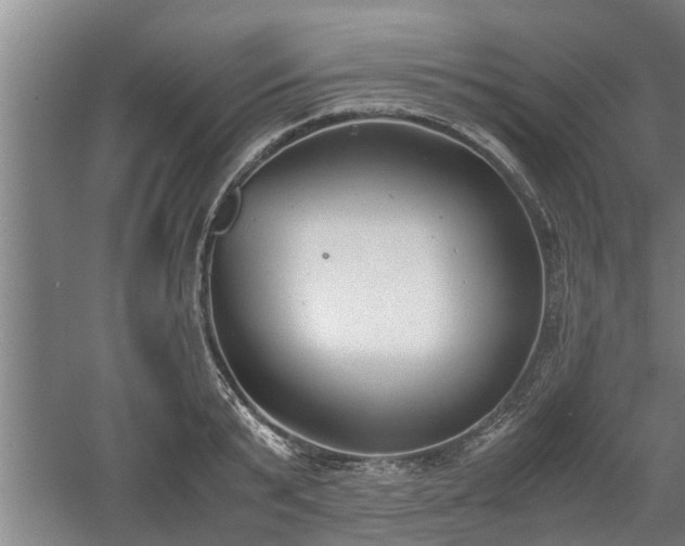 X0000060550799200511101536