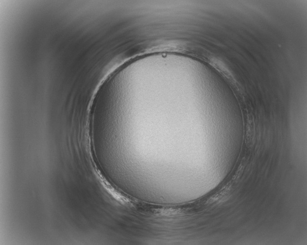 X0000060550800200511101536