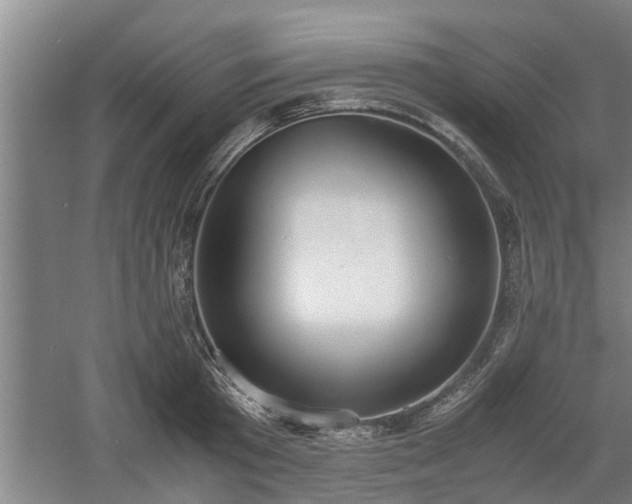 X0000060550801200511101536