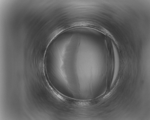 X0000060550802200511101536