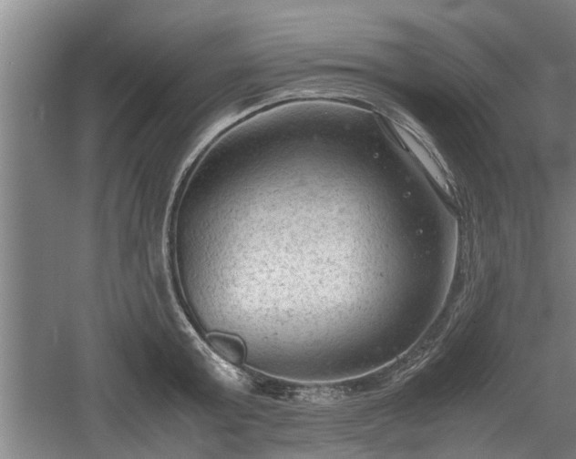 X0000060550803200511101536