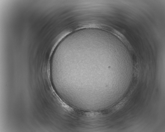 X0000060550804200511101536