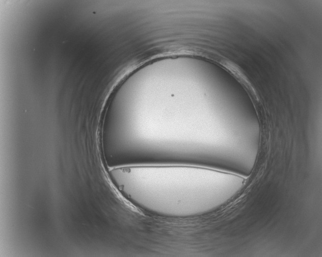 X0000060550805200511101536