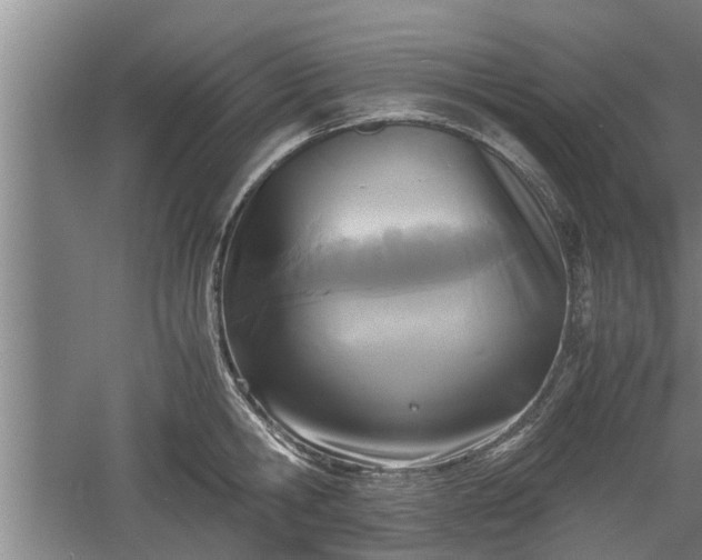 X0000060550806200511101536