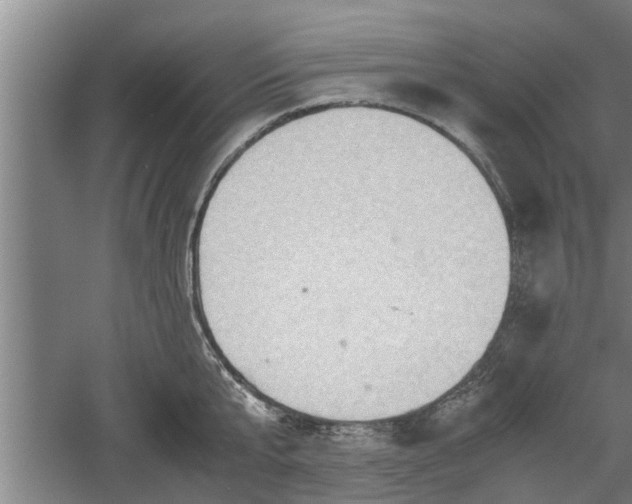 X0000060550807200511101536