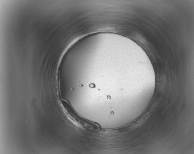 X0000060550808200511101536