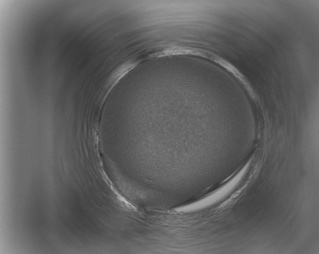 X0000060550809200511101536