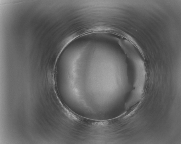 X0000060550810200511101536