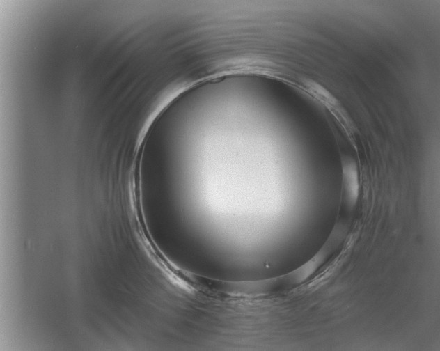 X0000060550812200511101536