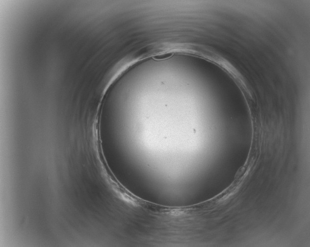 X0000060550814200511101536