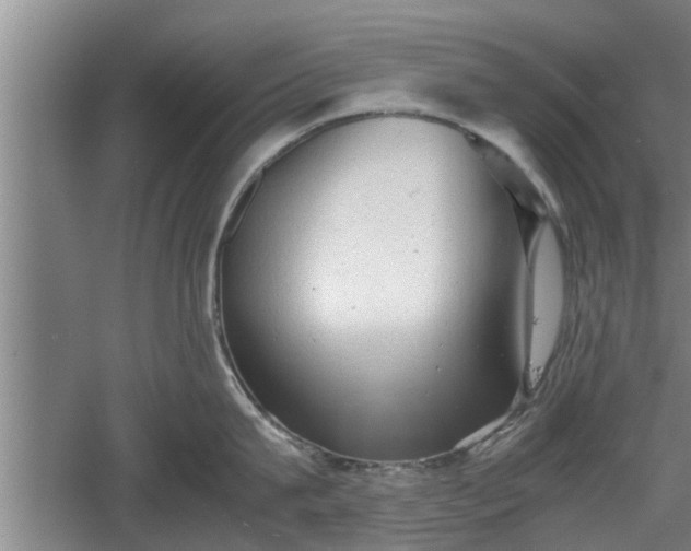 X0000060550815200511101535