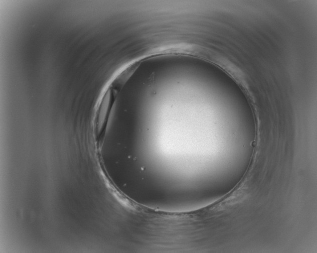 X0000060550816200511101535