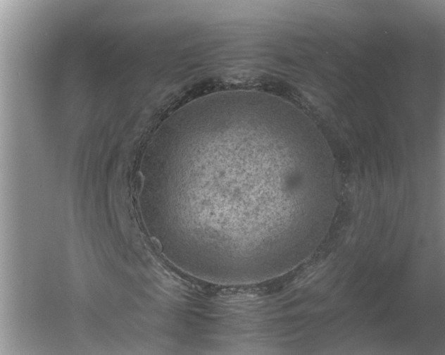 X0000060550817200511101535