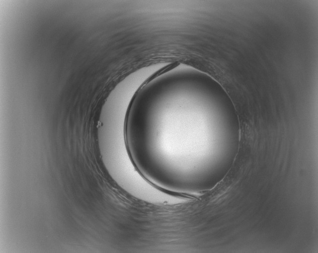 X0000060550818200511101535