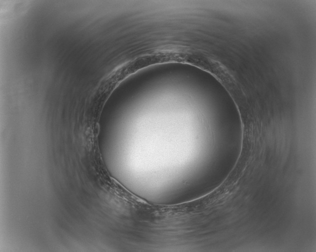 X0000060550821200511101535