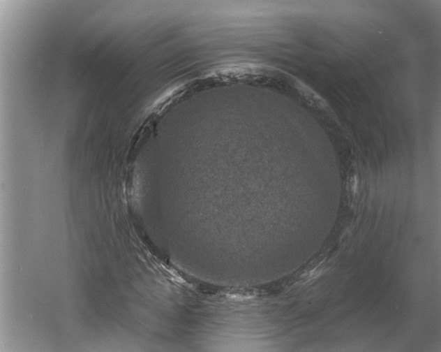 X0000060550822200511101535