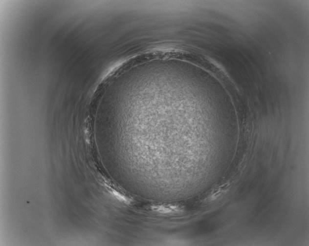 X0000060550823200511101535