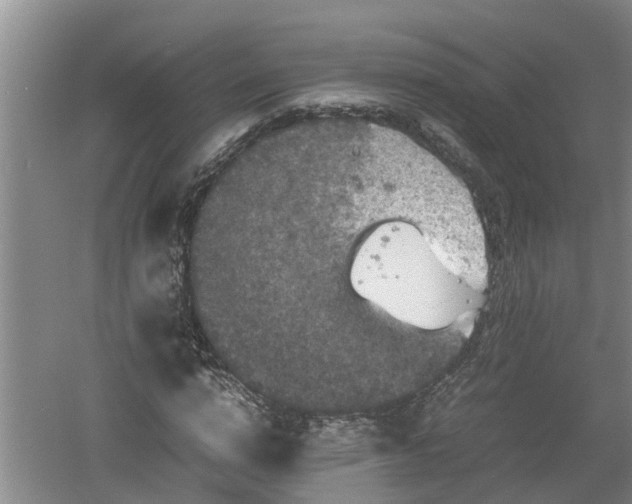 X0000060550824200511101535