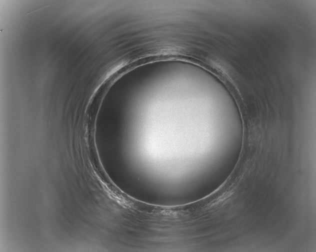 X0000060550827200511101535