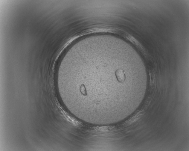 X0000060550828200511101535