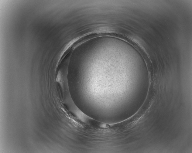 X0000060550829200511101535