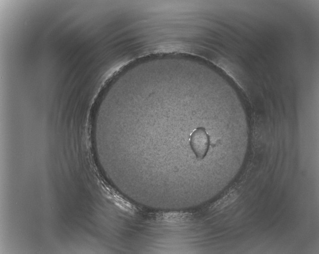 X0000060550832200511101535