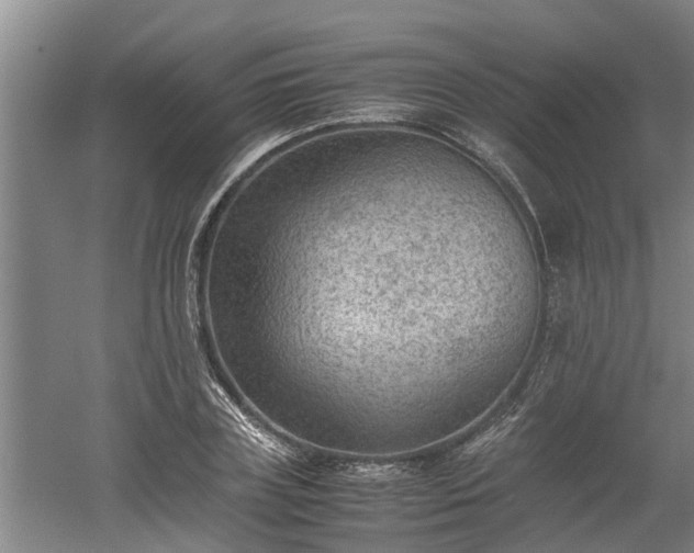 X0000060550835200511101535