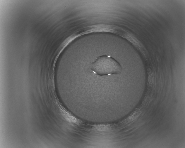 X0000060550836200511101535