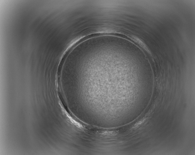 X0000060550839200511101535