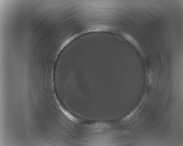 X0000060550842200511101535