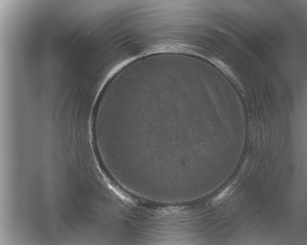 X0000060550846200511101535