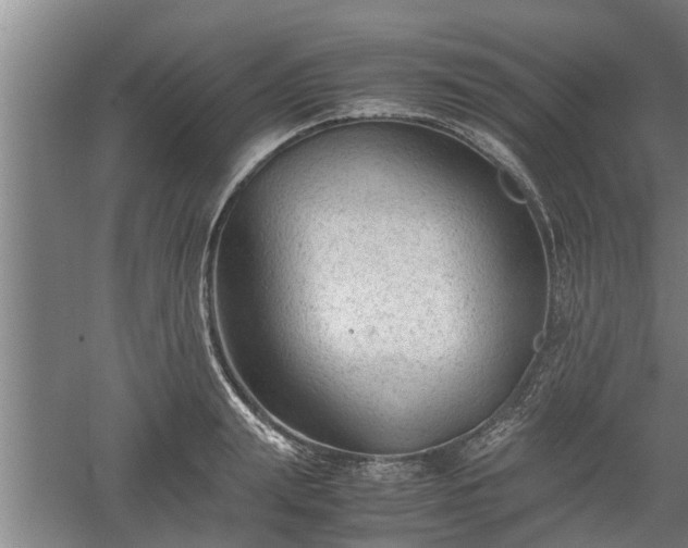 X0000060550847200511101535