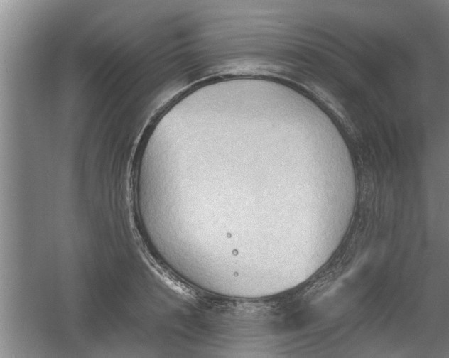 X0000060550848200511101535