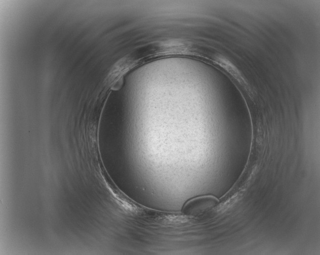 X0000060550849200511101535