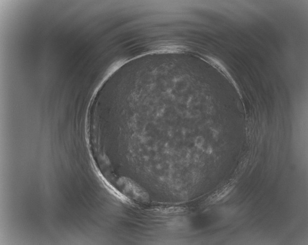 X0000060550851200511101535