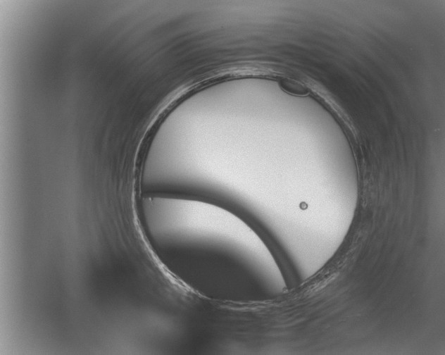 X0000060550853200511101535