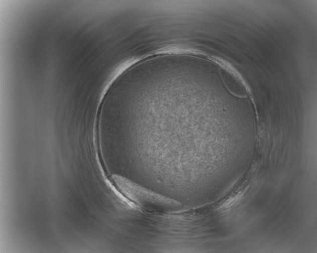 X0000060550855200511101535