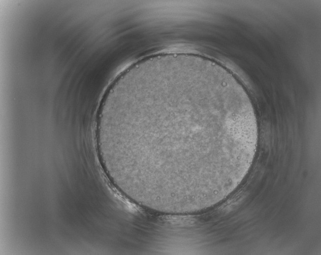 X0000060550856200511101535