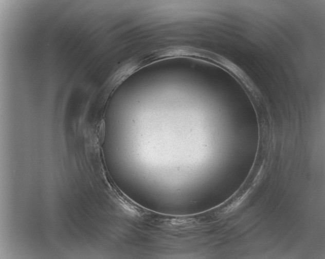 X0000060550857200511101535