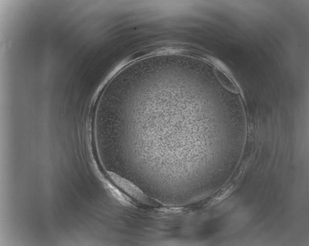 X0000060550859200511101535