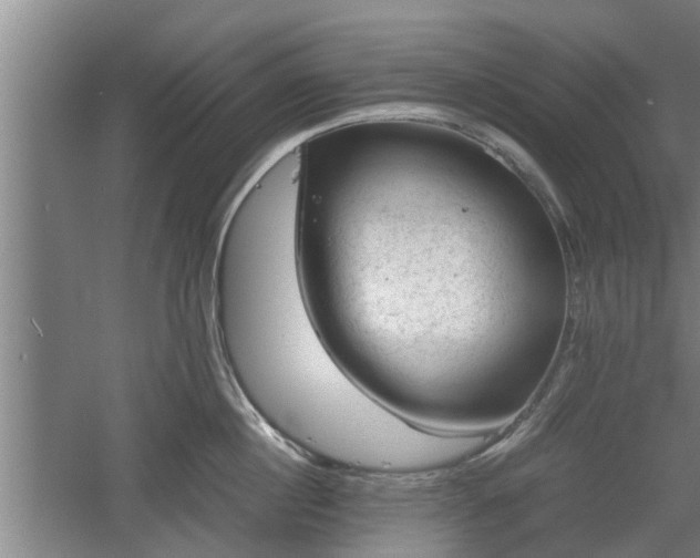 X0000060550860200511101535