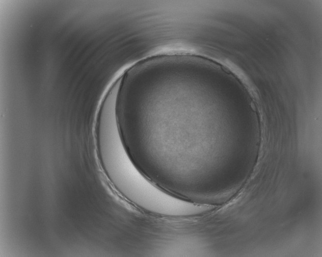 X0000060550864200511101535