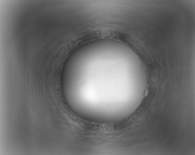 X0000060550865200511101535